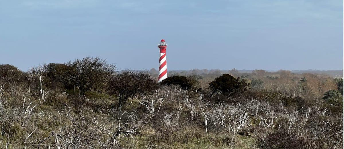 Leuchtturmprojekte