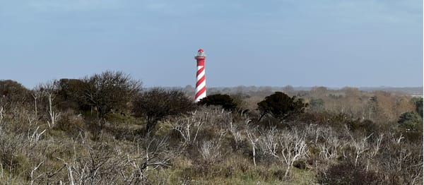 Leuchtturmprojekte