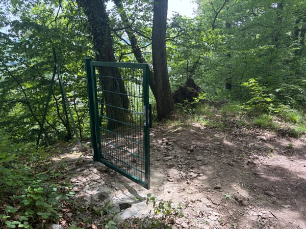 Ein verschließbares Gartentor, mitten im Wald - ohne Zaun
